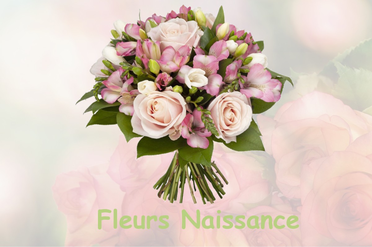 fleurs naissance SAINT-SAUVEUR-LA-VALLEE