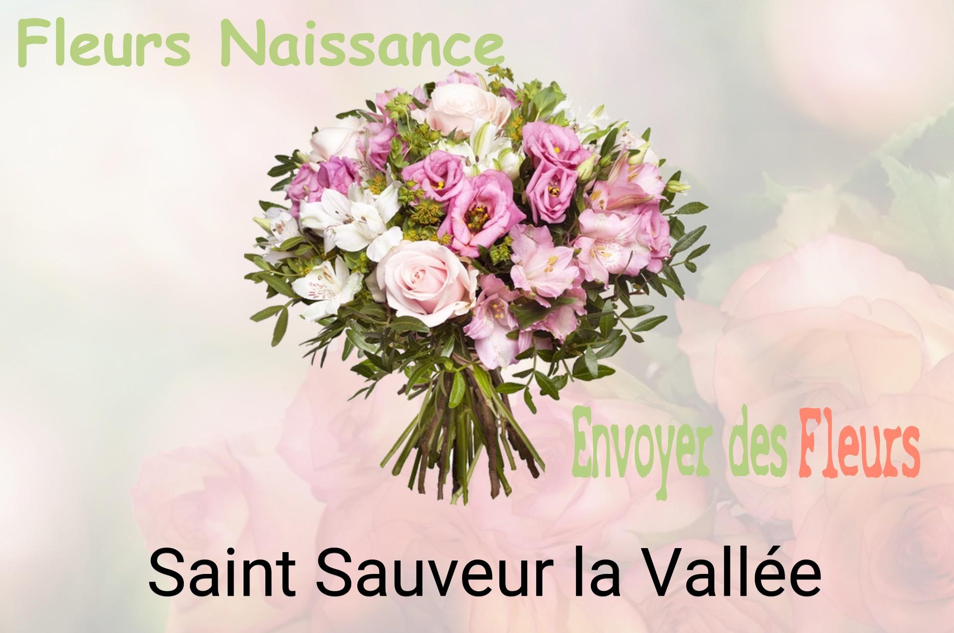 Bouquet de fleurs de naissance livré à Saint-Sauveur-la-Vallée